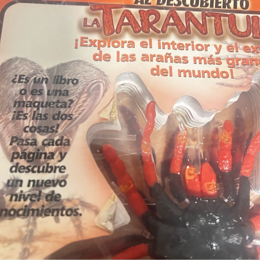 La Tarántula" Educational Book & 3D Model in Spanish by David George Gordon - Picture 3 of 7